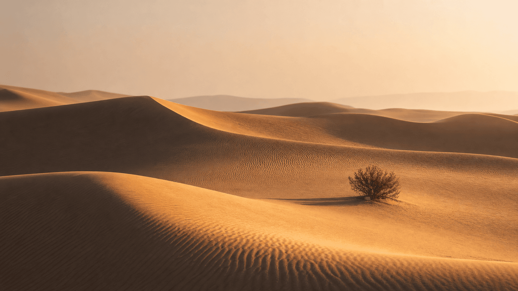 Quiet Abu Dhabi desert dunes